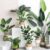 Plantas Artificiales Ikea: Las 15 mejores plantas artificiales para decorar tu hogar.